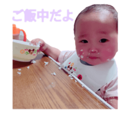 81215928