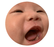 812162976