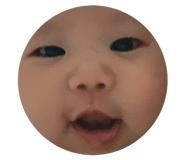 812162978