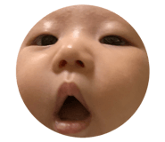 812162979