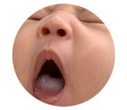 812162980