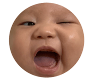 812162981