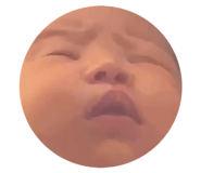 812162982