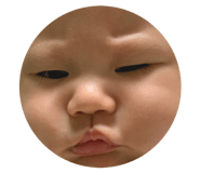 812162988