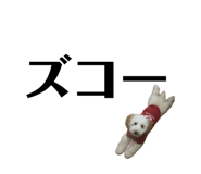 812166893