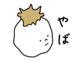 81216809