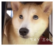 812171325