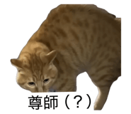 812171426