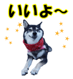 812180223