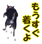 812180225