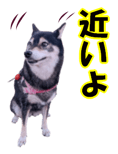 812180226