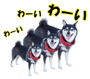 812180232