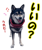812180237