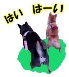 812180238