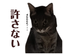 812195157