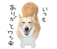 812214456