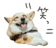 812214458