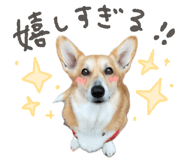 812214465