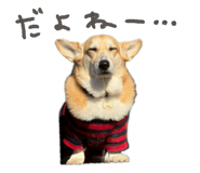 812214481