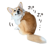 812214483
