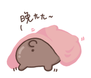 812236970