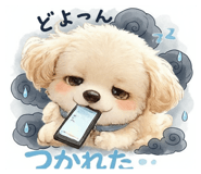 812261754