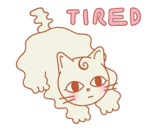 ลายที่ 43