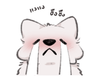 ลายที่ 13