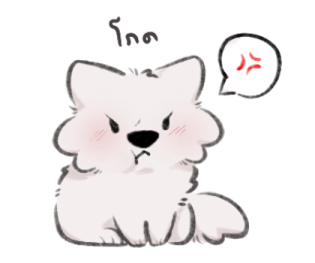 ลายที่ 19