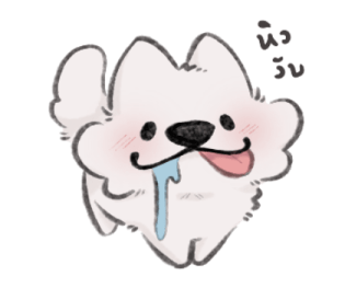 ลายที่ 41