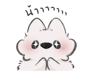 ลายที่ 47