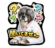 812267386