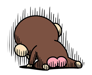 Funny Monkey Full of Emotion Animated รูปที่ 16