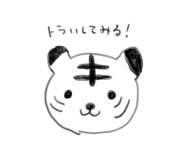 812289555
