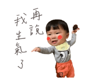812300528