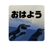 812303425