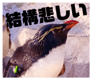 812303431