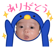 812303631
