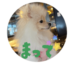812304828