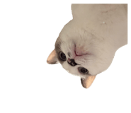 812305390