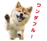 812305929