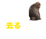 812305930