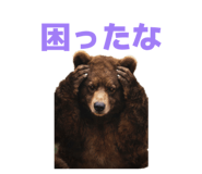 812305934