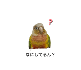 812306553