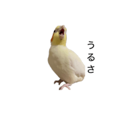 812306559