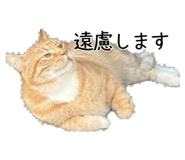 812308404