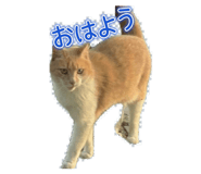 812308408