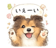 812326053