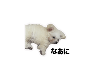 812337258