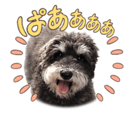 812346233